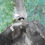Thumbnail: Noel Coward's Eye #2257, 2018   Natasha Zupan photography color abstract  contemporary