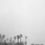 Thumbnail: El Palmar (Chingaza), Pigment Print 2019 Miguel Winograd photography black and white, still life, nature landscape