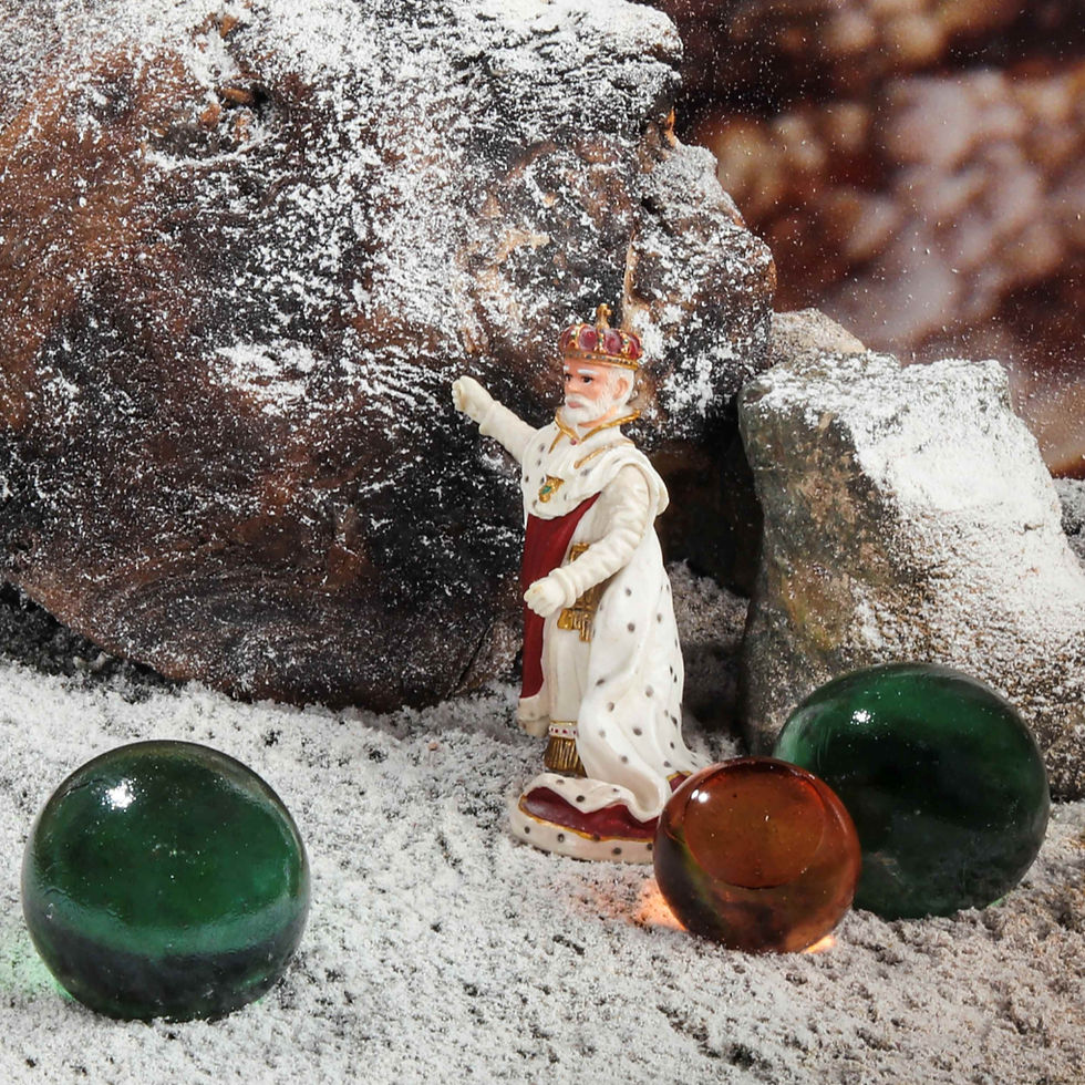 Thumbnail: Dubravka Lazić Color Photograph  Still-life figurative game animals contemporary art