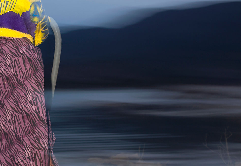 Thumbnail: Untitled Aspy-Thor III, From the series Ser Cosa Rodrigo Etem, nature, abstract, color photograph, figurative