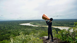 ALL POSSIBLE FORESTS #10, 2022-23 Maria Jose Arjona