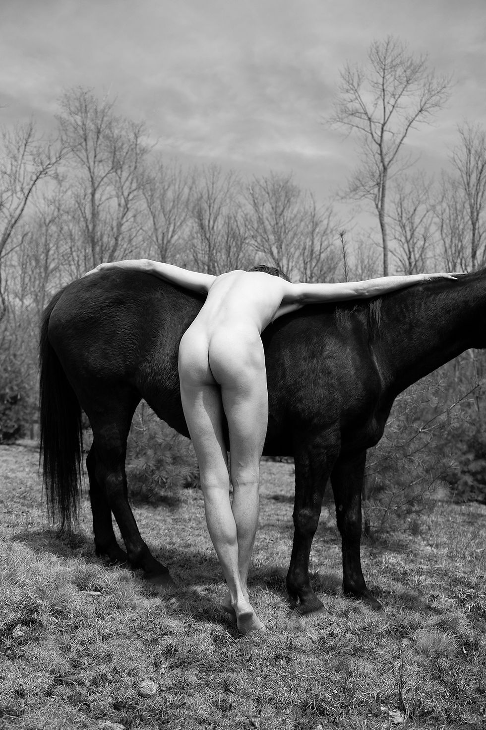 Black and white photography nudes figurative horse animal muscules contemporary art