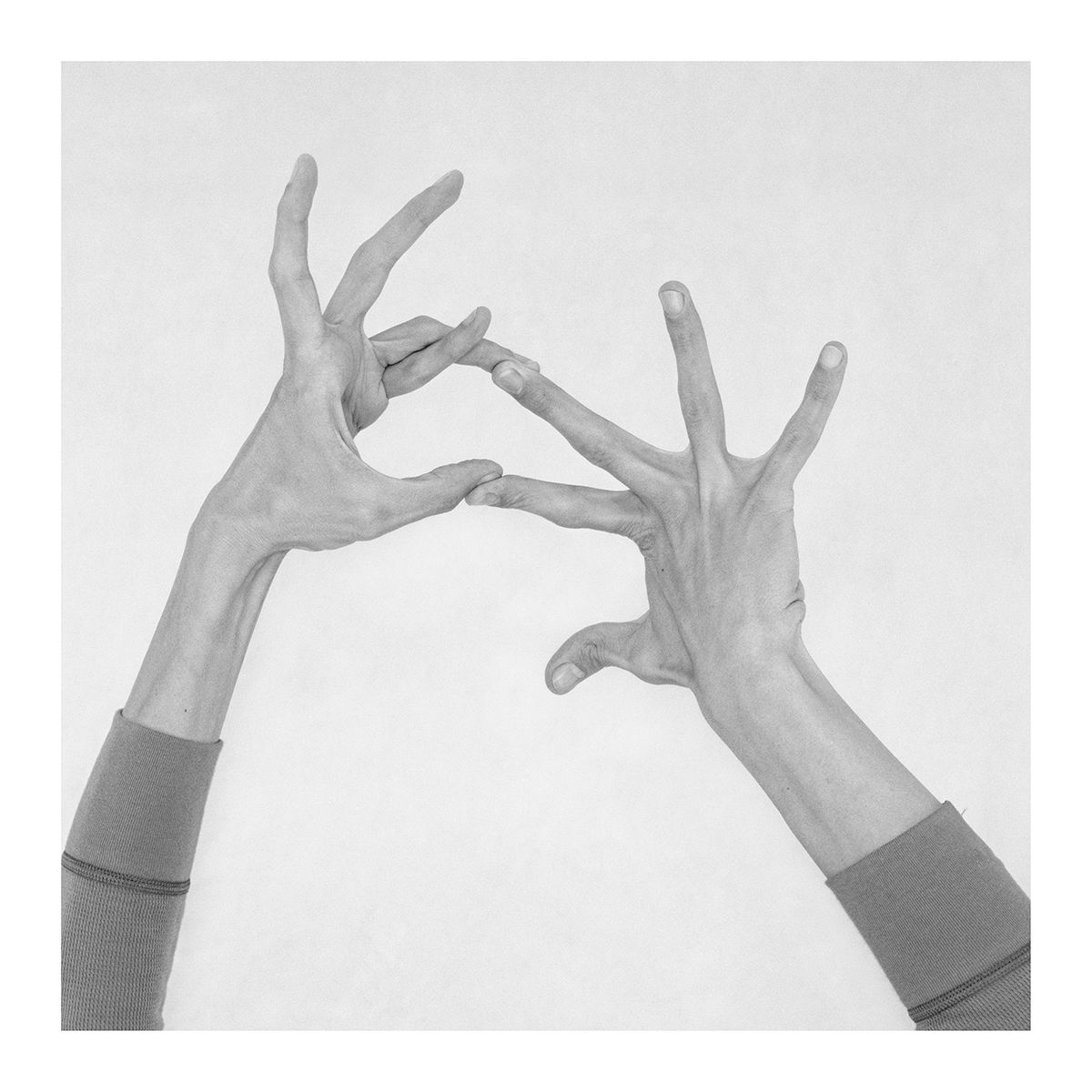 Nico Baixas Hands people black and white fingers figurative circus Chiromorphose