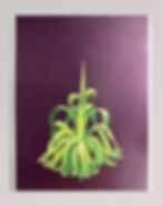 Miguel Angel Ríos Planta Agave. Ref. 96028, 1996 Acrylic on Canvas