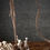 Thumbnail: Hongos y bandeja. From the bodegones series, Dora Franco, Still life, color Photography, contemporary art