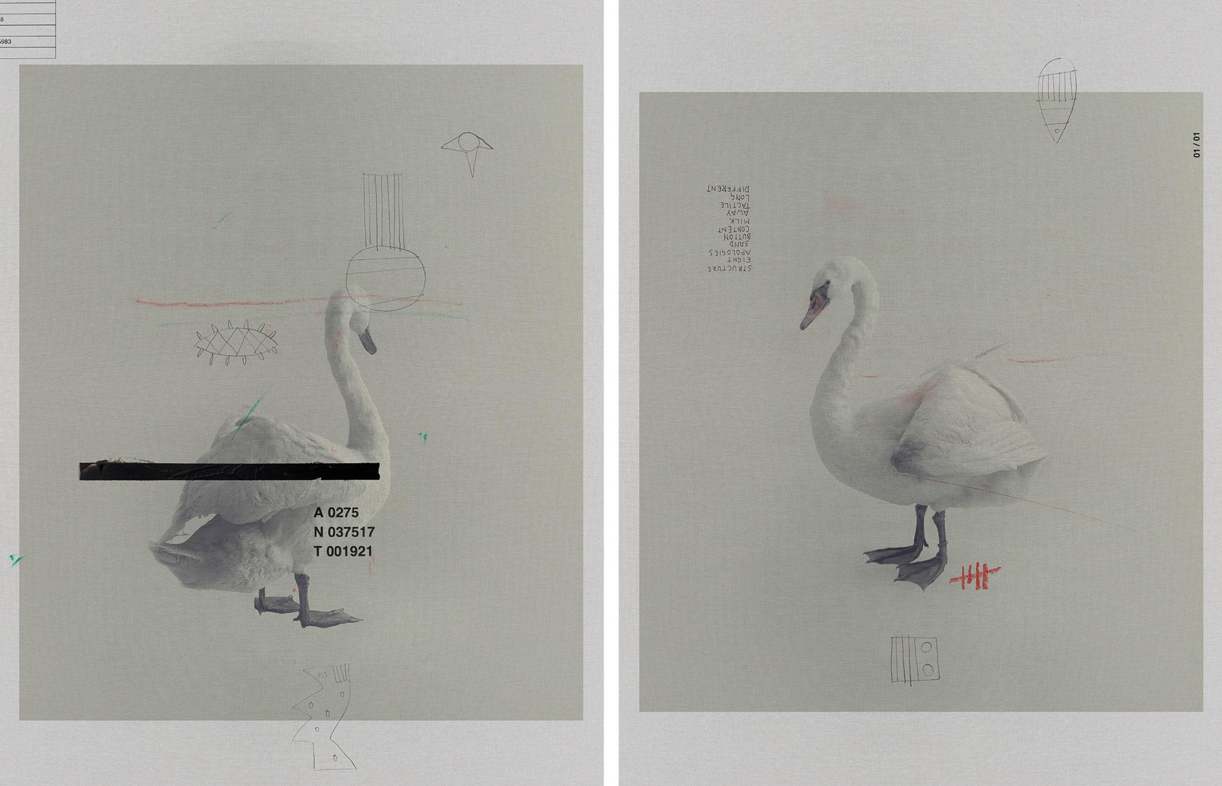 Diptych, From The ONE series, Mix media, Photography, pencil, ink, acrylic and pastel on fabric