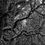 Thumbnail: Selva Oscura Macizo Colombiano, Pigment Prints 2018 Miguel Winograd photography black and white, still life, nature landscape