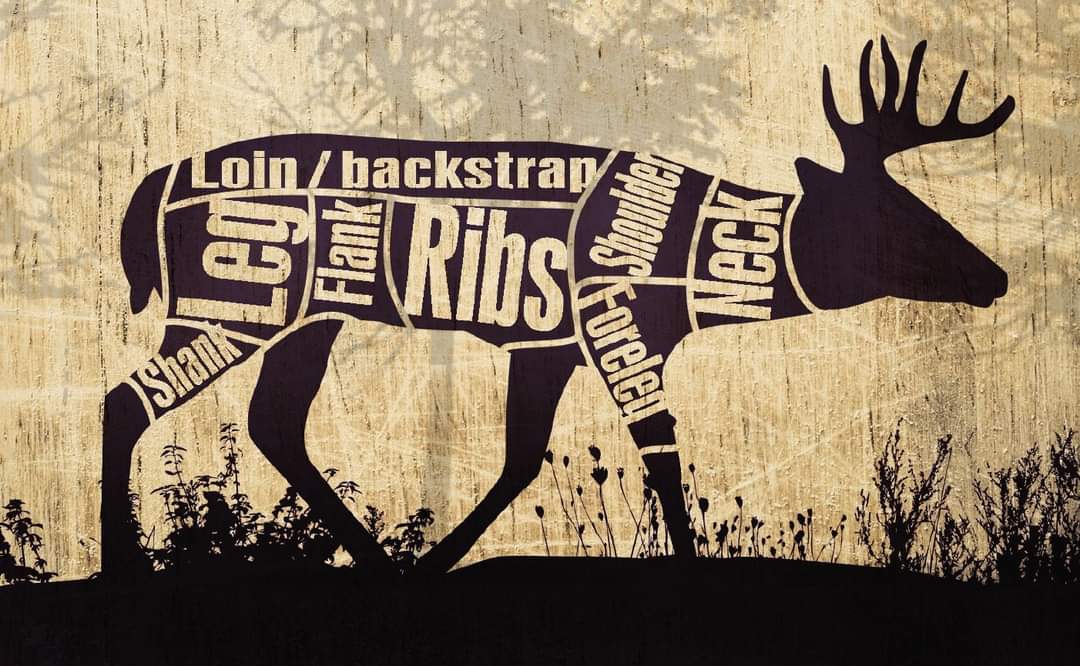 Wild Game Processing - Elk Cuts