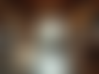 Exploring Willcox Country Bacon Feed & Supply in Vail