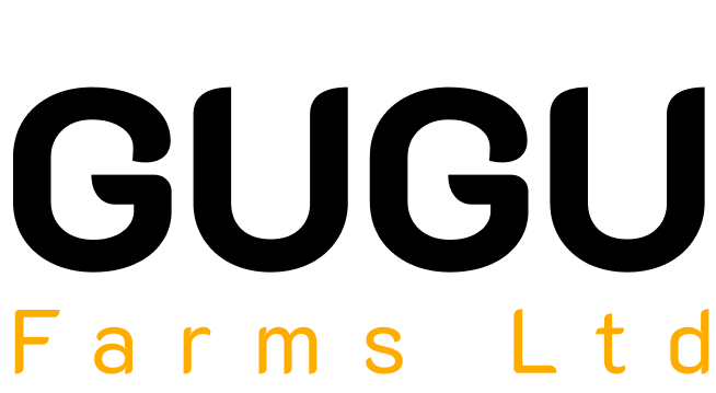 Group 10619.png