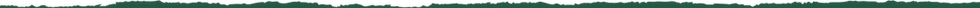 Image (5).png