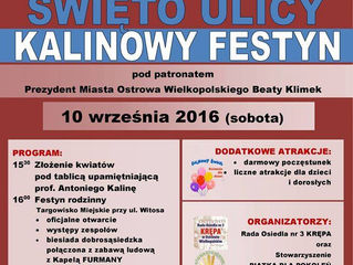 Święto ulicy Profesora Kaliny