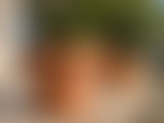 Tecnoteca e Cestenoli