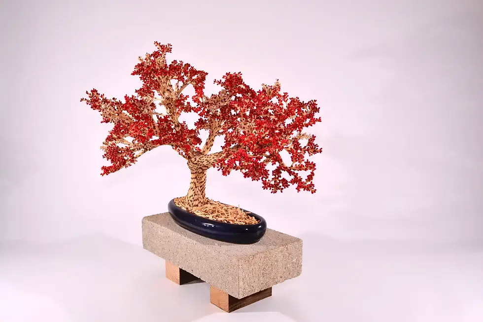 Blackburn Tree (2017)