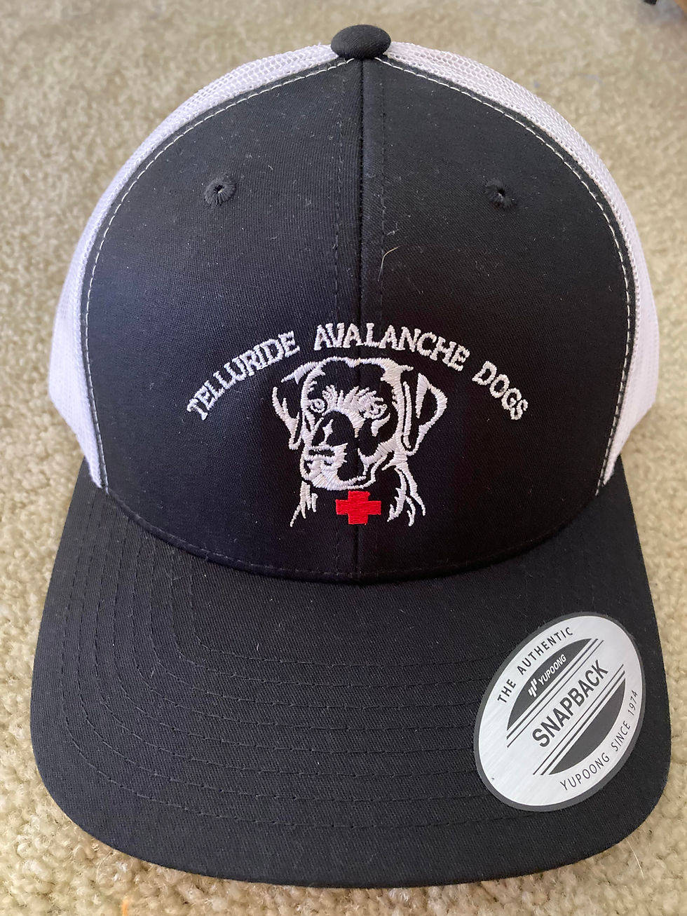 Thumbnail: Trucker Hat (mesh back)