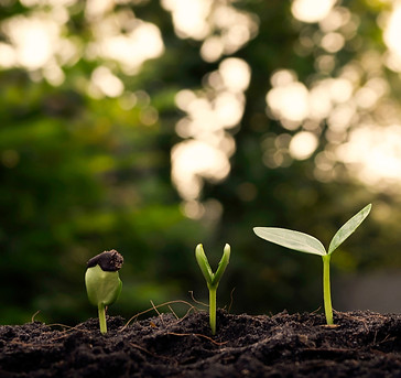 GRANDIR (1)_edited.jpg