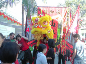 Lunar New Year celebration