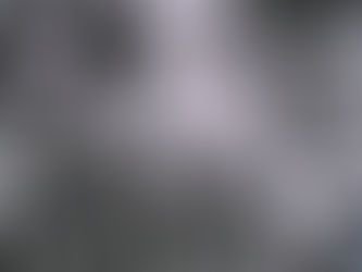 Dozen Rose royalty, July 2 parade