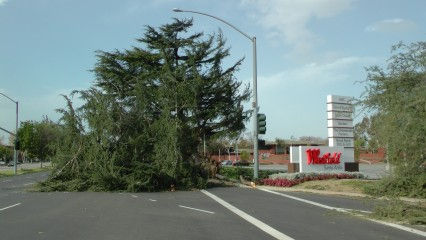 Wind-storm cancellations, debris