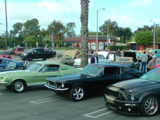 Carcadia Mustangs and More