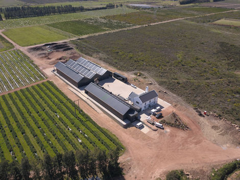 Bojses Farm – Cape Dutch-Inspired Agri Facility
