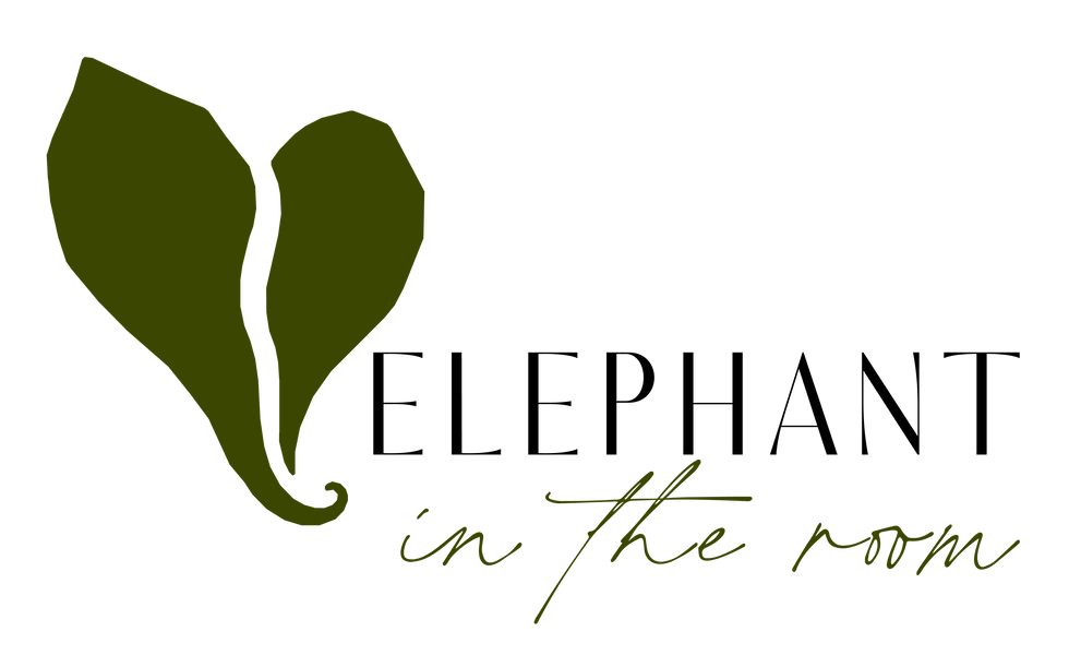 Elephant-In-The-Room-Logo