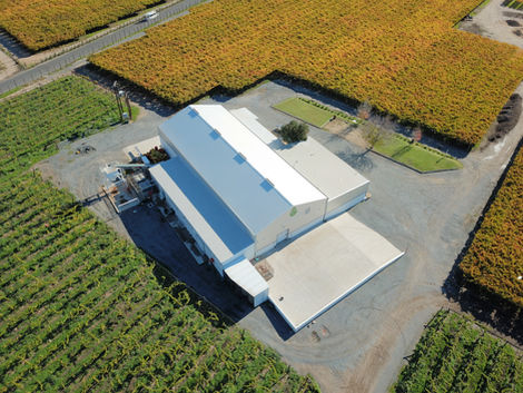 Grape Alliance - De Doorns