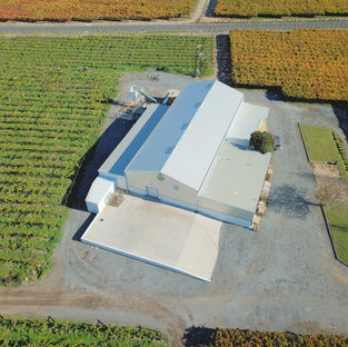 Grape Alliance - De Doorns