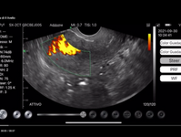 Ostetricia & Ginecologia