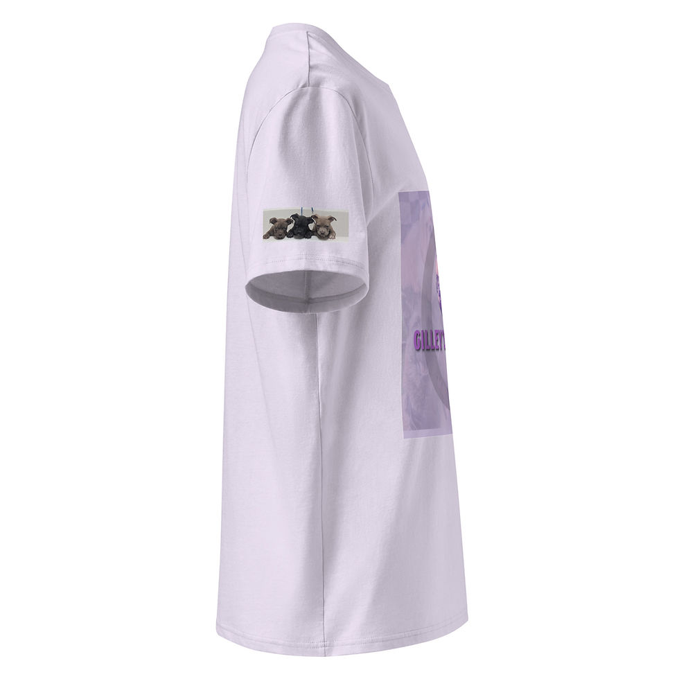 Thumbnail: Unisex organic cotton t-shirt