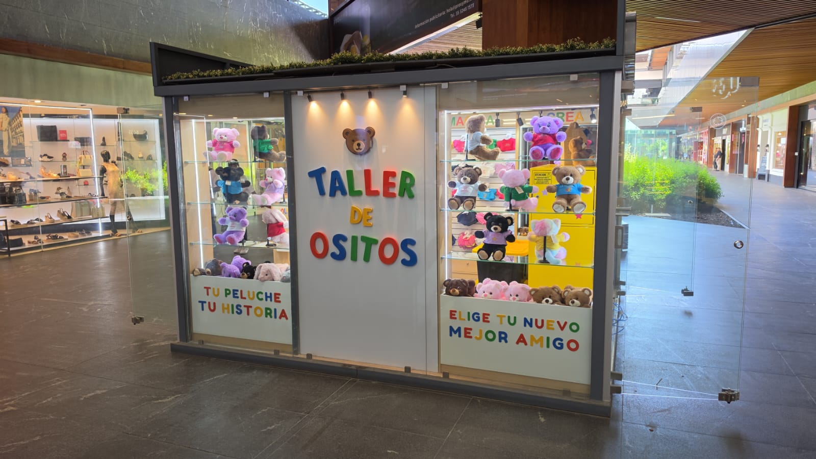 Foto del escritor: Taller de Ositos