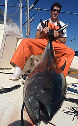 tuna taxi tuna