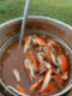 IMG-9125