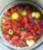 crawfish