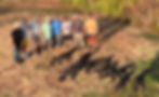 IMG-6936_edited