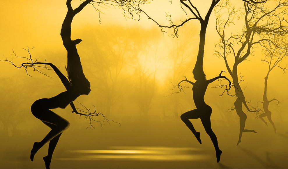 Les arbres qui dancent