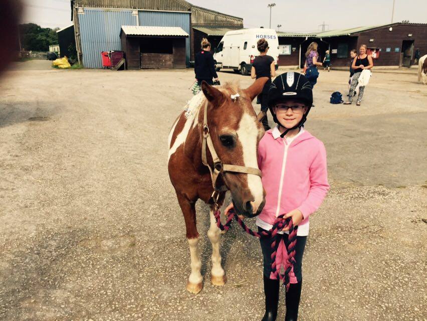 Gallery burrowslanefarm