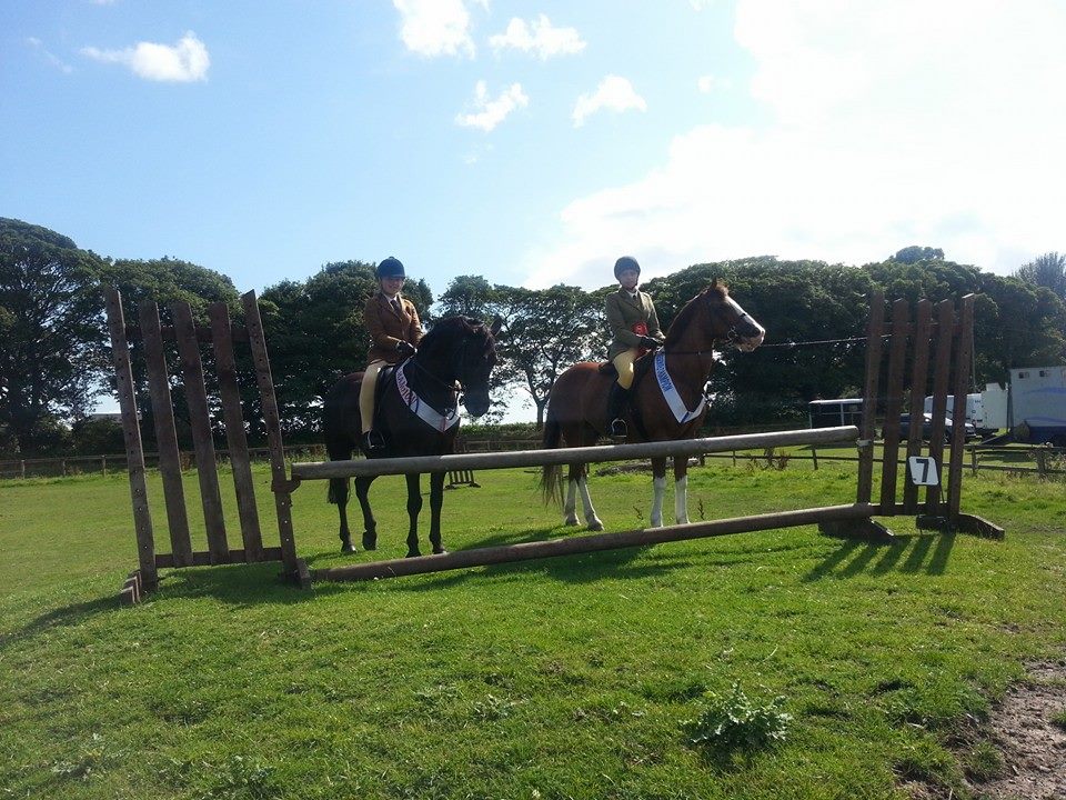 Gallery burrowslanefarm