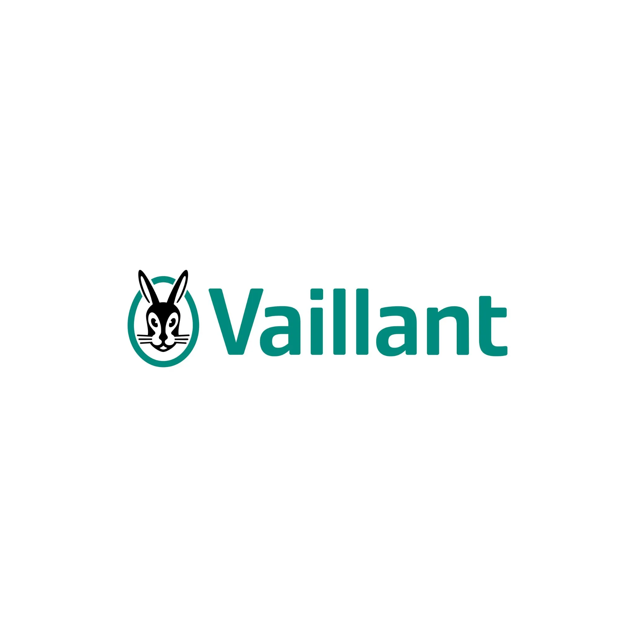 Vaillant.webp