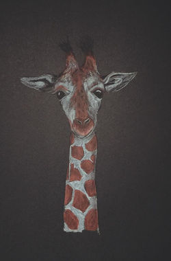 Pastel Pencil Artwork