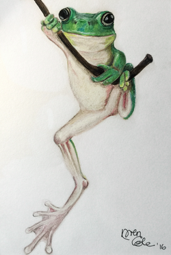 Colour Pencil Artwork