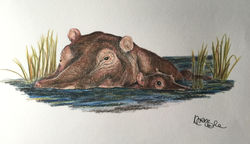 Colour Pencil Artwork