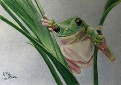 Colour Pencil Artwork