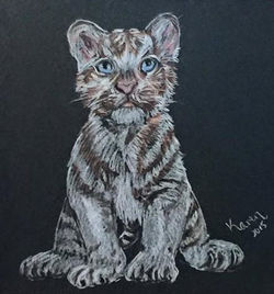 Colour Charcoal Artwork