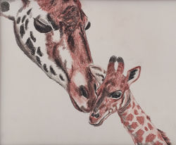 Coloured Charcoal Artwork