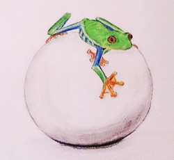 Colour Pencil Artwork