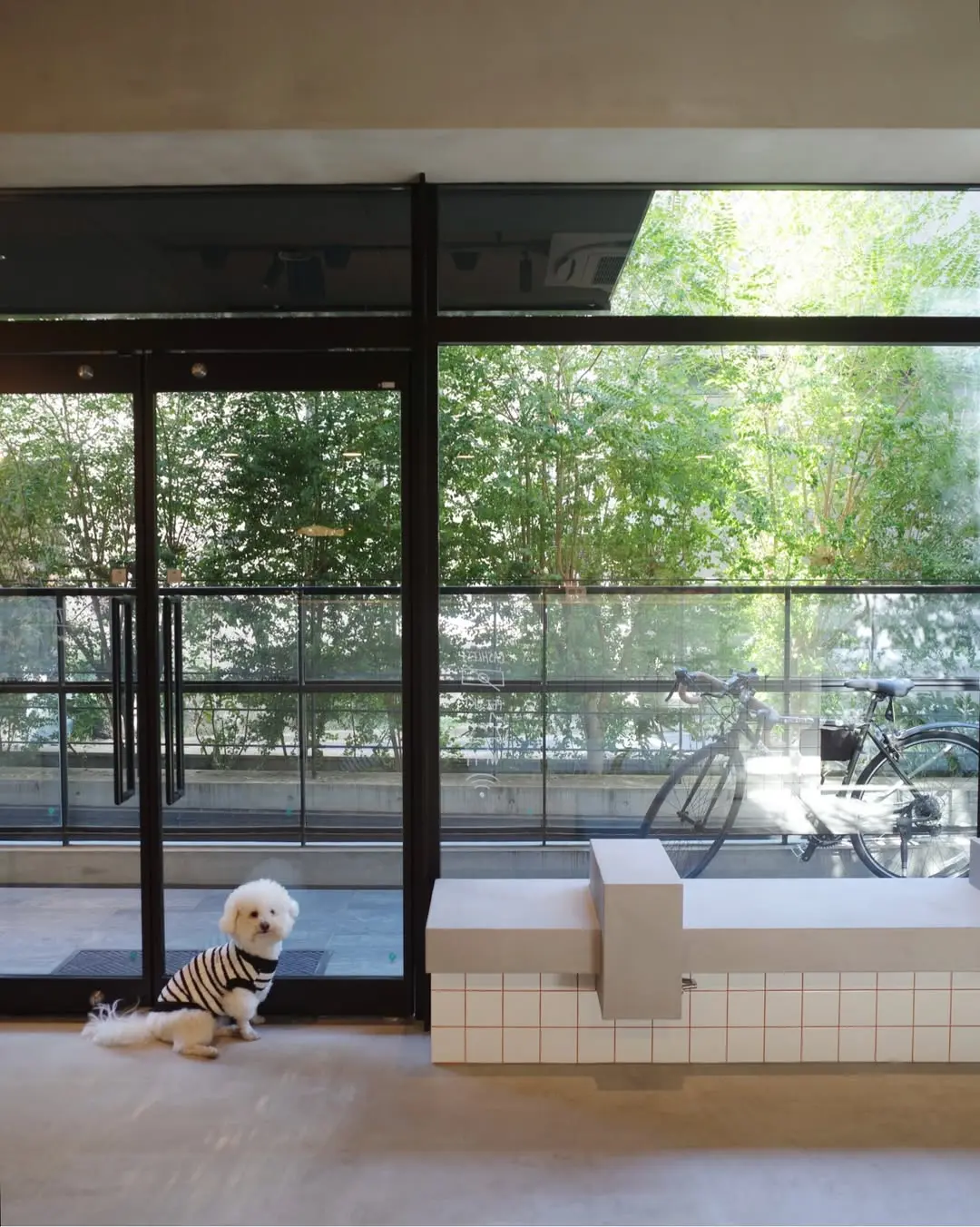 モールテックスベンチ仕上げ/飲食店内装/施工:オフィスTAKAHATA