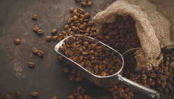 The-Complete-Guide-on-Coffee-Beans-Processing_edited