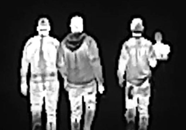 therm view.jpg