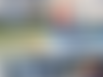 Harm of Carvana Armor All